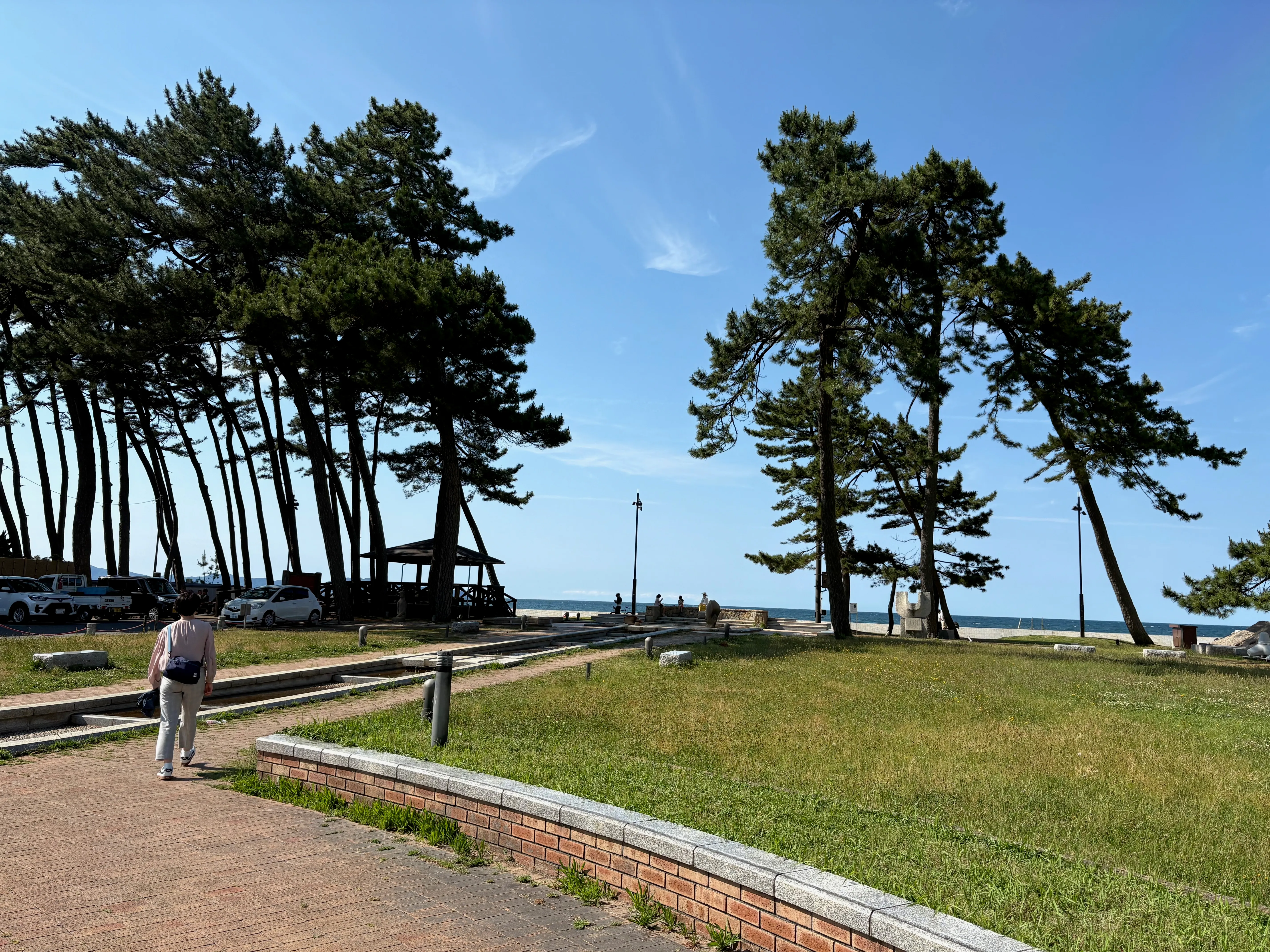 皆生の海辺。松林の向こうに、おだやかな海が広がる。