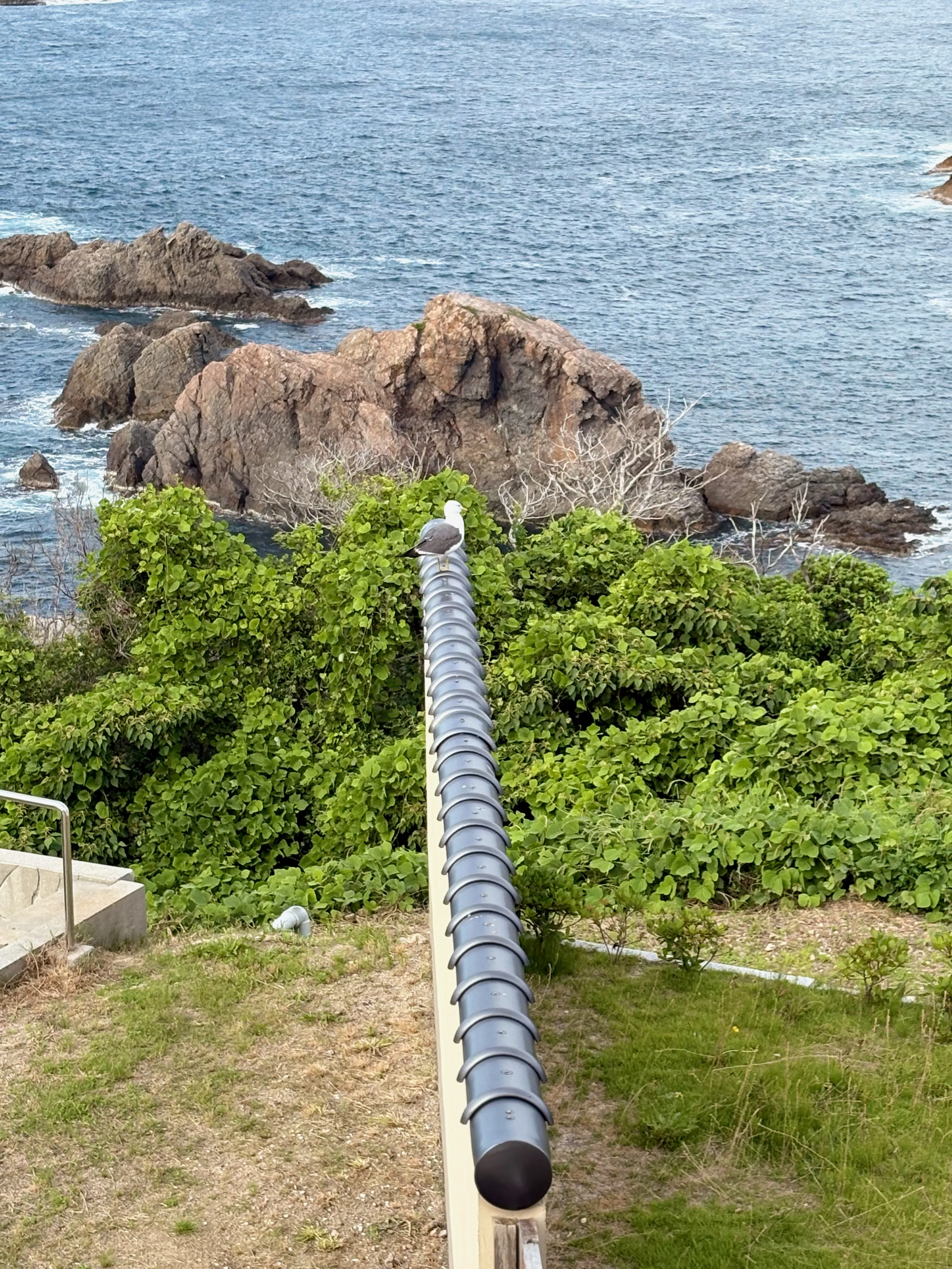 灯台へと続く、緑に包まれた小道。