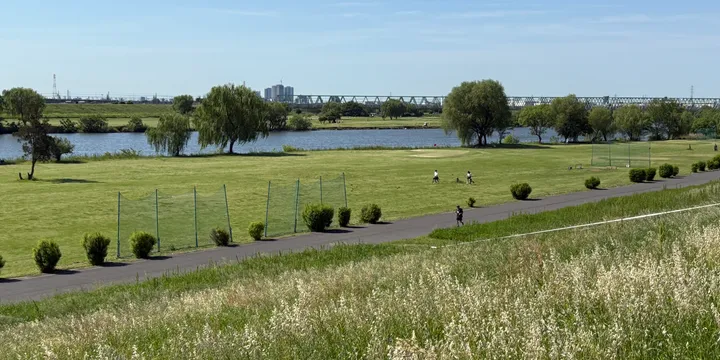 ゴールデンウィーク初ラン！水元公園12km、新緑の風を切って走った朝のアイキャッチ画像