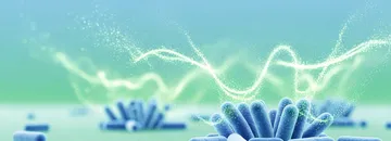 The "Natural Antibacterial Substance" Made by Lactic Acid Bacteria Is Being Researched as a New Strategy Against Drug-Resistant Bacteria