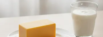 Unmelted Cheddar and Shifts in Gut Bacteria Markers? An Editorial Overview of 10 Fermented Food Studies