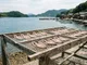 くさや汁の保存性を支えるものは？｜八丈島の漬け汁から抗菌活性を示す放線菌を分離のサムネイル