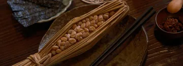 「腸活」って本当なのか。発酵食品と腸内環境について、ちゃんと調べてみた