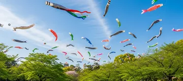 Running on Children's Day Morning: What a Man in His 50s Discovered About the Seasonal Festival