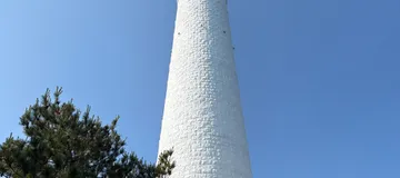 Day Three of My San'yo Journey: The Hinomisaki Lighthouse at Dawn and a Paradise of Black-tailed Gulls