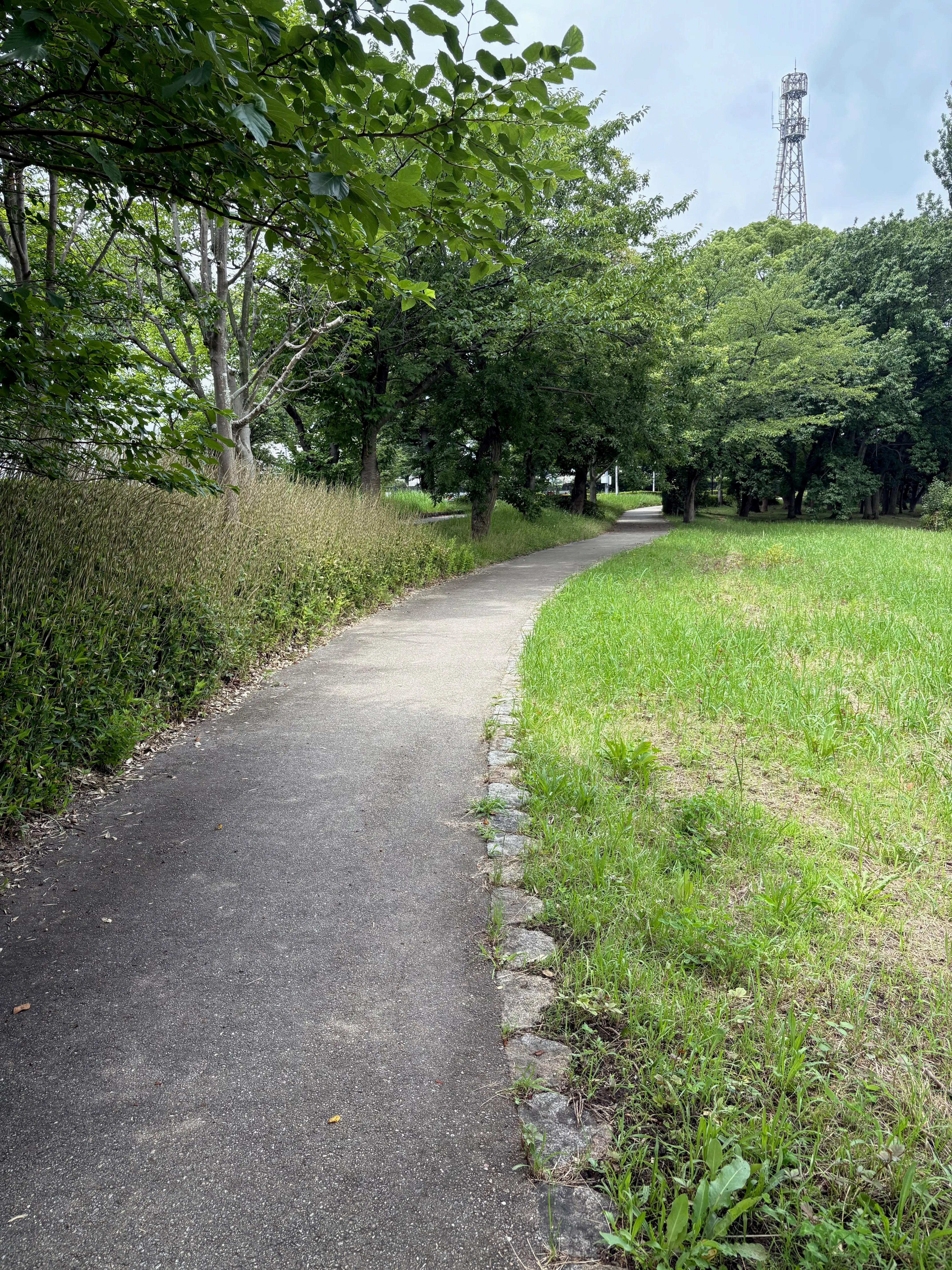 緑に包まれた散歩道。芝生と木立の間を、細い小道がのびる。
